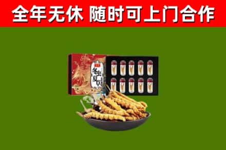 海晏烟酒回收冬虫夏草礼盒.jpg